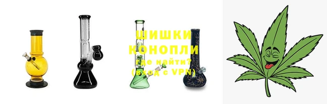тгк Белокуриха
