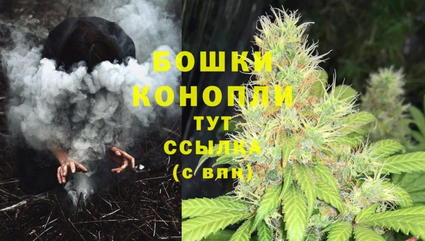 тгк Белокуриха