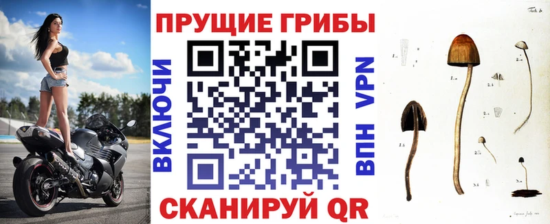 наркота  Волосово  MEGA   Галлюциногенные грибы Magic Shrooms 